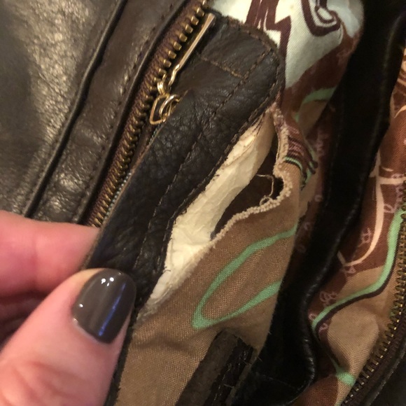 Bulga - Picture 16 of 16